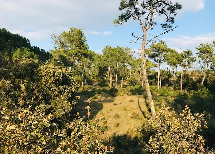 Le Golf, Piscine & Ocean * Saint-Jean-de-Monts