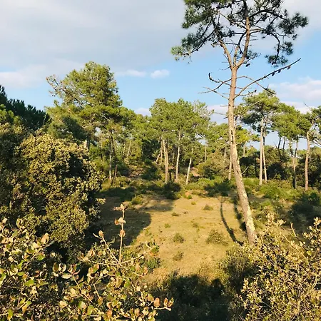 Le Golf, Piscine & Ocean * Saint-Jean-de-Monts